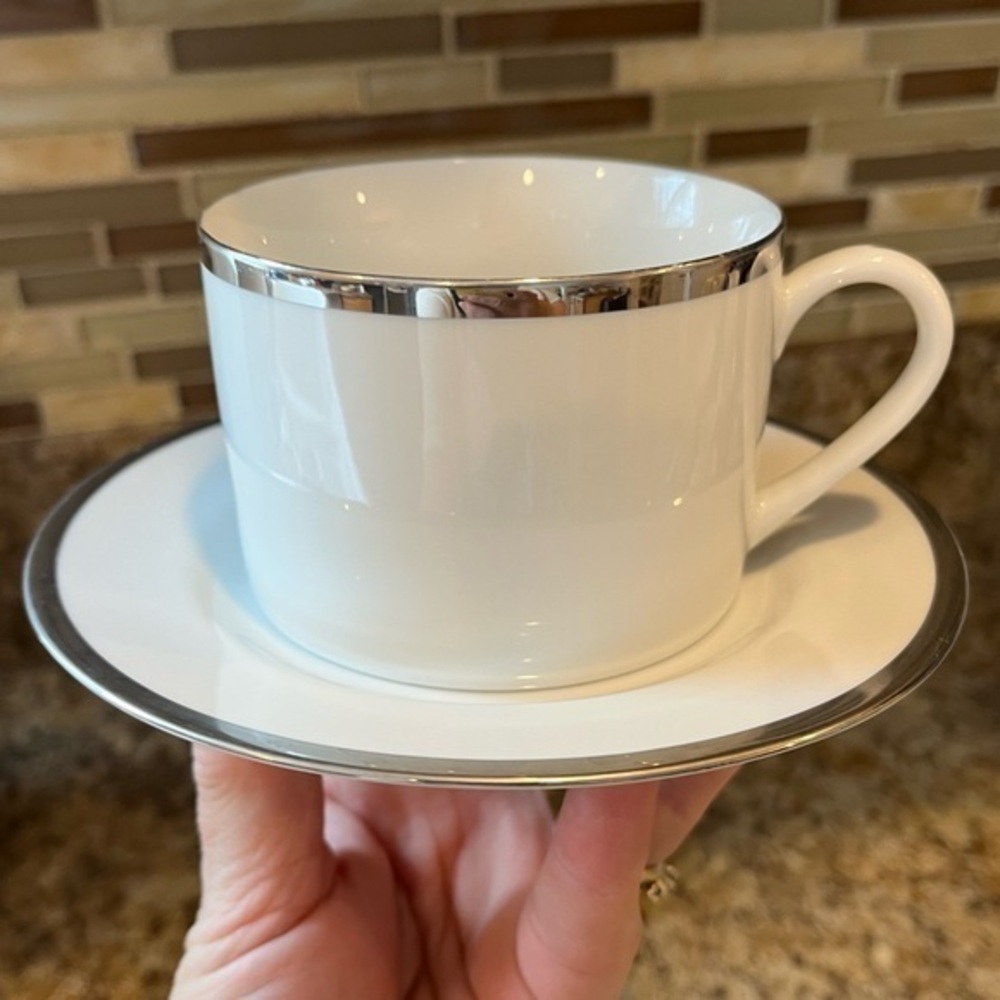 Pier 1 Monno Bangladesh Elegant White and Silver Tea Cup and Saucer